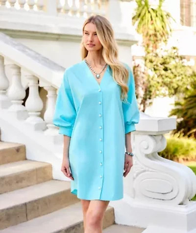 Lantern Sleeve Pearl Button Dress