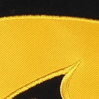 NCAA Iowa Hawkeyes Big Logo Pullover Hoodie