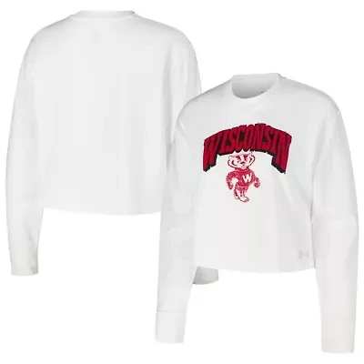 NCAA Under Armour Wisconsin Badgers Inline All Day Tri-Blend Cropped Long Sleeve T-Shirt
