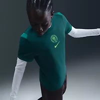 Soccer National Teams Nike Nigeria Team 2025/26 Home Replica Jersey