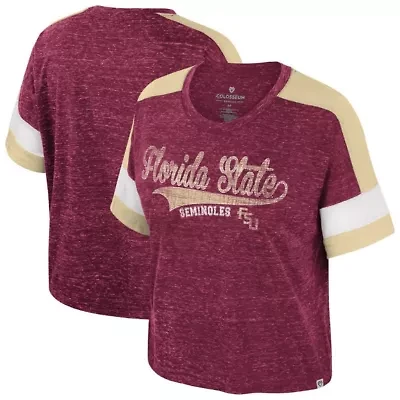 NCAA Florida State Seminoles Color Block Scoop Neck T-Shirt