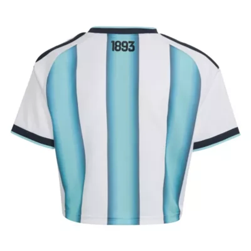 Soccer National Teams Argentina Team FIFA x World Cup 2022 Winners Home Cropped Replica Jersey