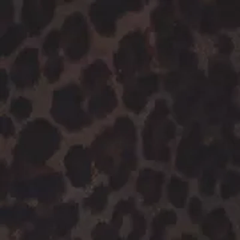 Women's Cheetah Print with Chiffon Overlay Skirt