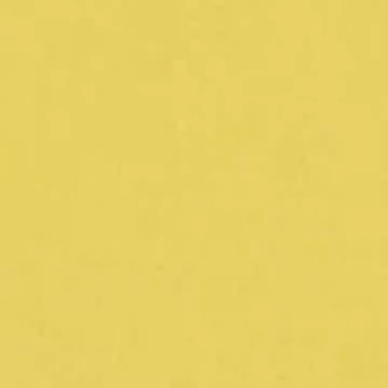 Pineapple Crepe Swim Skirt