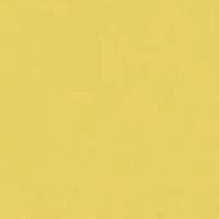 Pineapple Crepe Swim Skirt