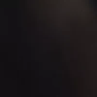 Women's Long Sleeve Pleat Front Blouse