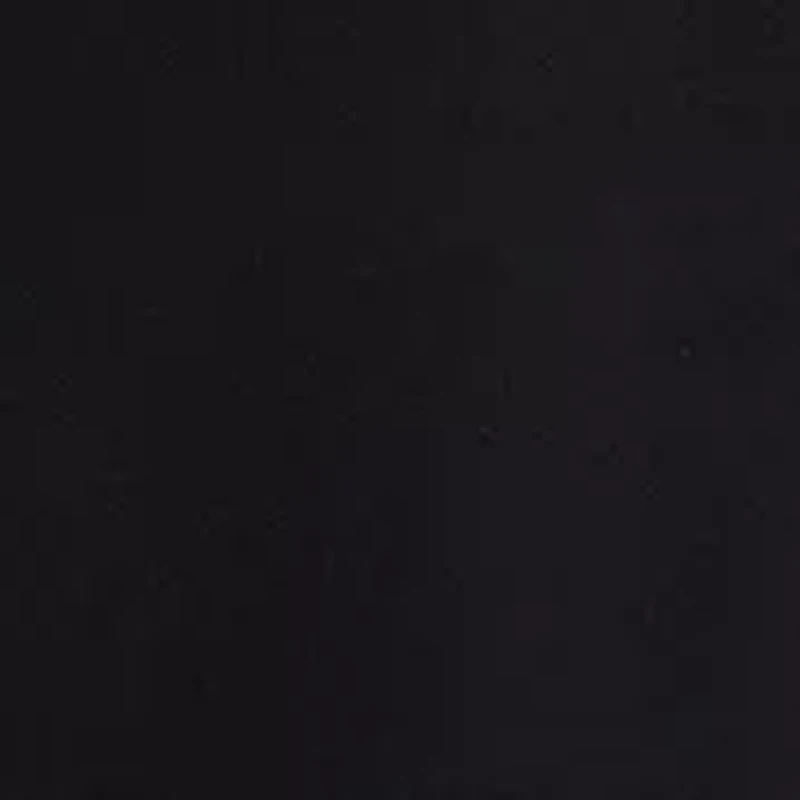 Women's Side Pleat Wide Leg Pants