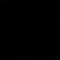 Women's Faux Fur Jacket