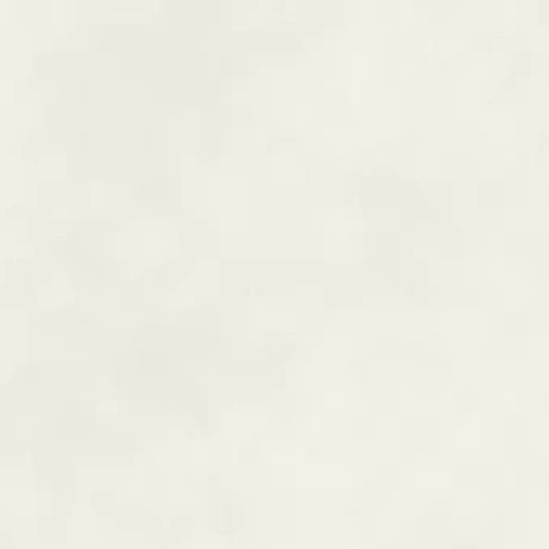 Women's Button Front Vegan Suede Top