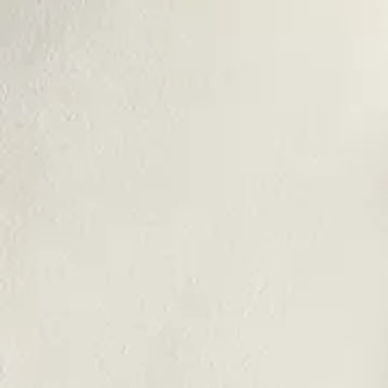 Women's Vegan Suede Pants