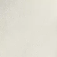 Women's Vegan Suede Pants