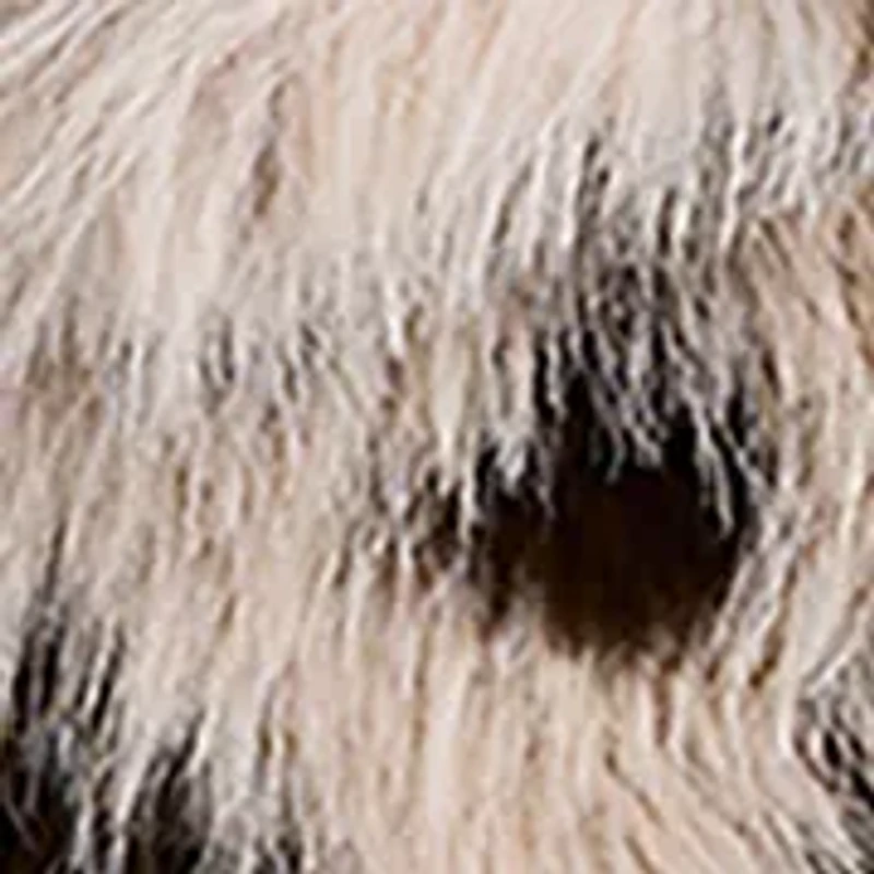 Women's Cropped Faux Fur Coat