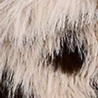 Women's Cropped Faux Fur Coat