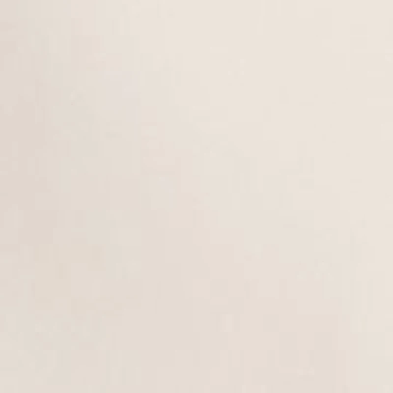 Women's PO Satin Maxi Skirt