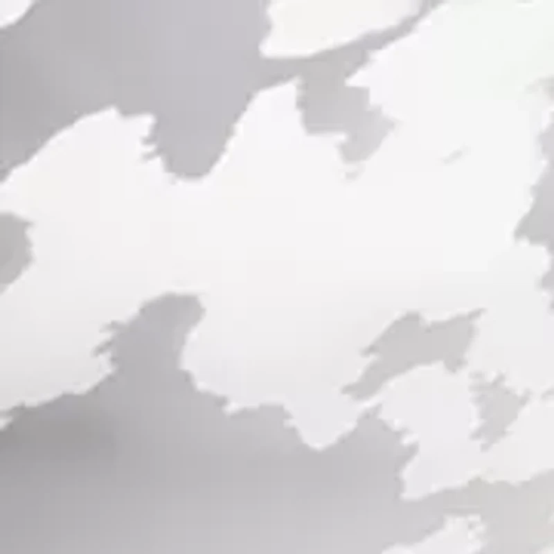 Women's Long Sleeve Organza Button Front Shirt