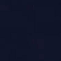 Women's Fit and Flare Mini Skirt