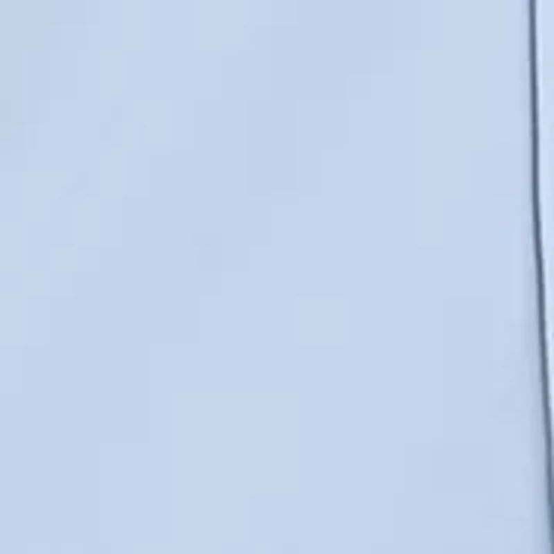 Women's Fly Front High Rise Wide Leg Pants