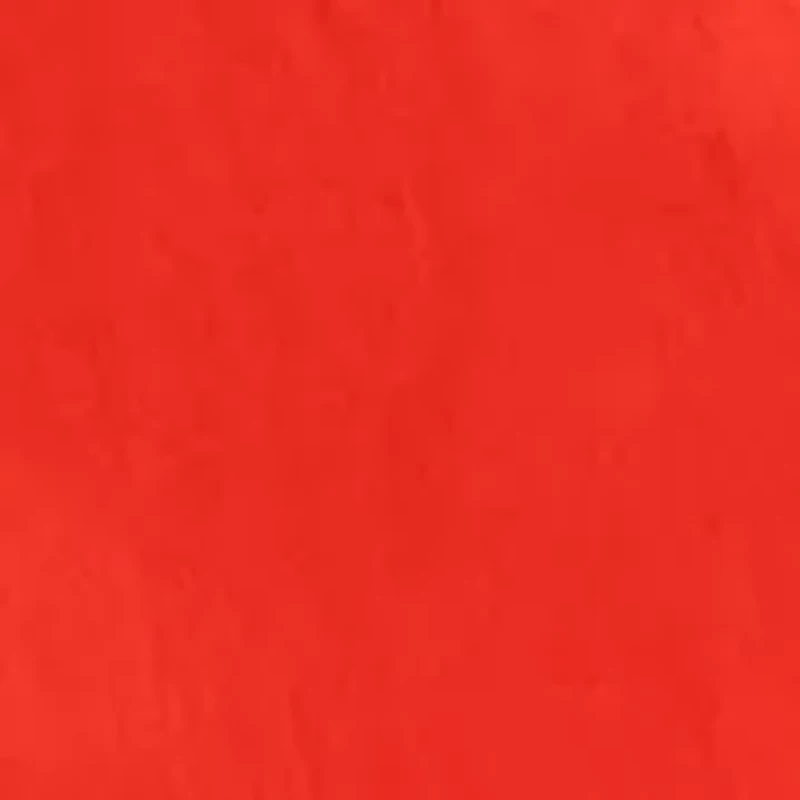 Women's Puff Sleeve Blouse