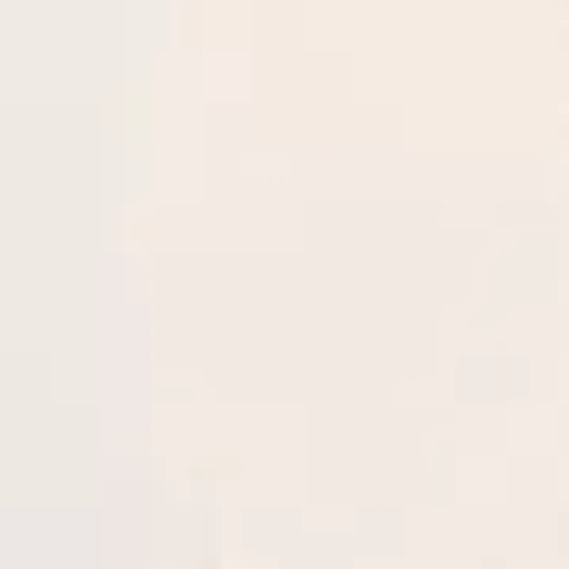 Women's Fly Front High Rise Boyfriend Long Bermuda Shorts