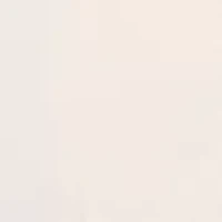 Women's Fly Front High Rise Boyfriend Long Bermuda Shorts