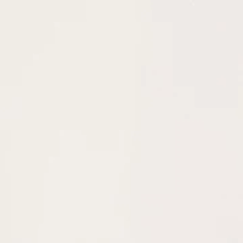 Women's Fly Front Mid Rise Flare Pants