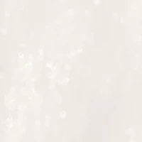 Women's Sheer Overlay Crewneck Mini A-Line Dress