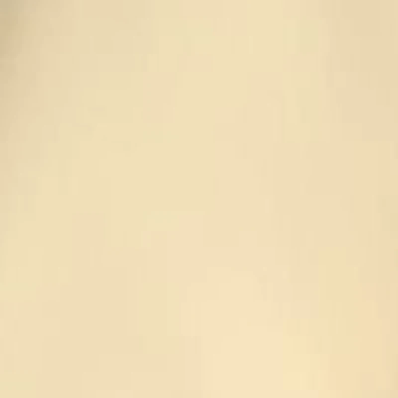 Women's High Rise Pleated Wide Leg Trousers