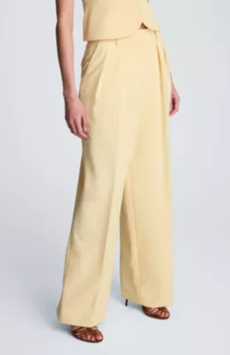 Women's High Rise Pleated Wide Leg Trousers
