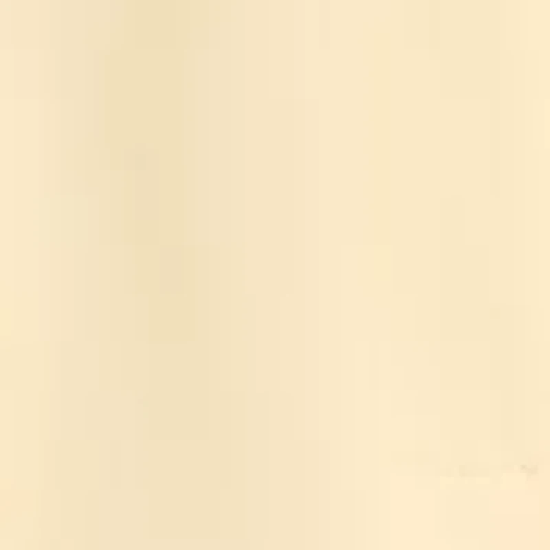 Women's High Rise Pleated Bermuda Shorts