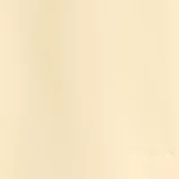 Women's High Rise Pleated Bermuda Shorts