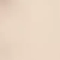 Women's High Rise Side Zip Shorts