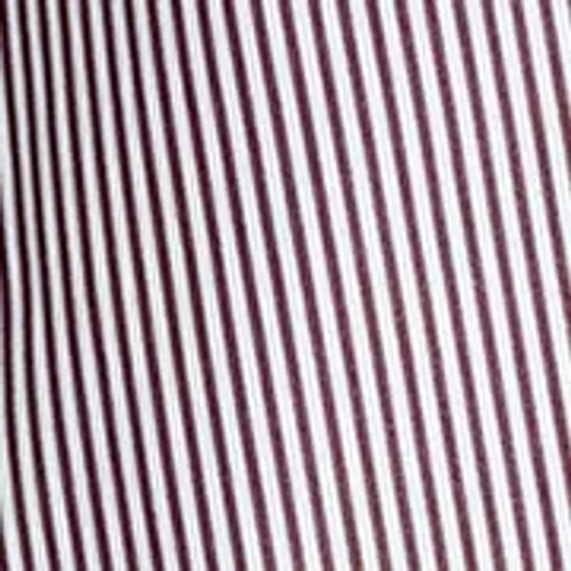 Women's Boyfriend Button Down Shirt with Tie