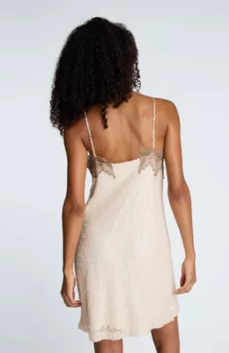 Sequin Netting Slip Dress With Lace Trim