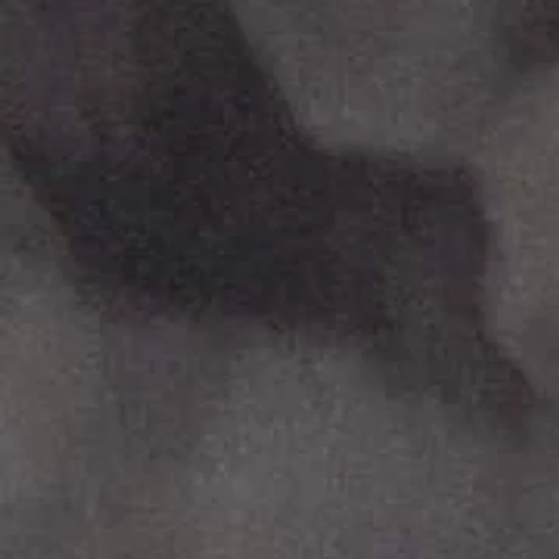 Sheer Overlay Mini Crew neck A-line Dress