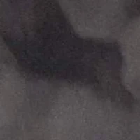 Sheer Overlay Mini Crew neck A-line Dress