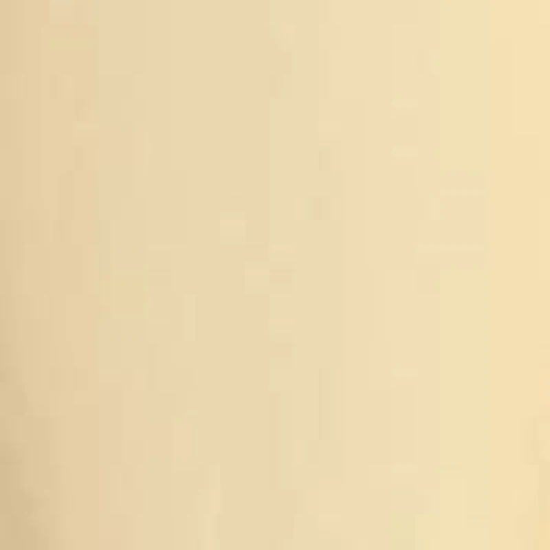 Paperbag Neck Sleeveless Tent Button Front Shirt