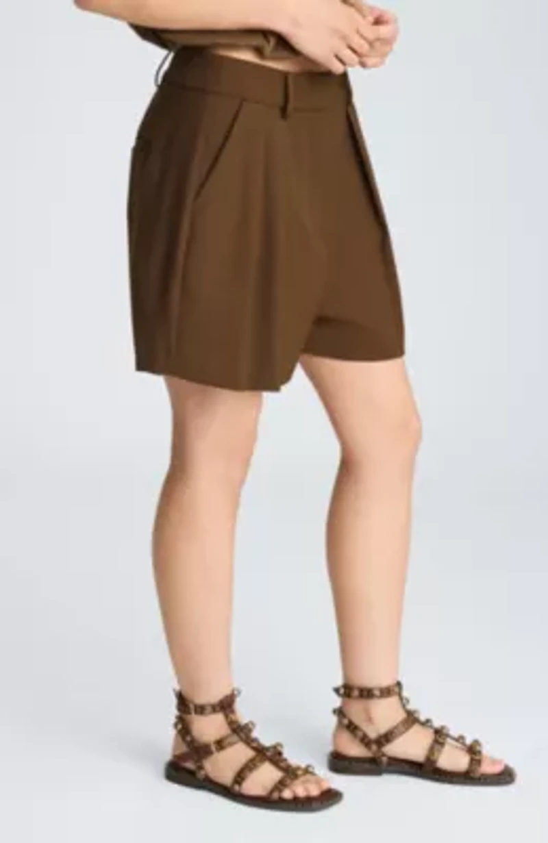 High Rise Fly Front Pleated Short