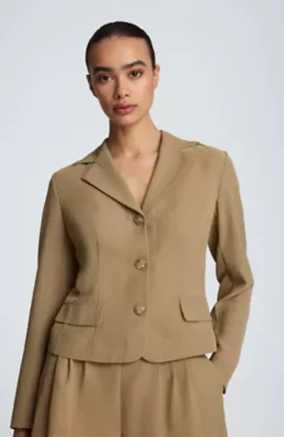 Transparent Notch Jacket with Flap Pockets