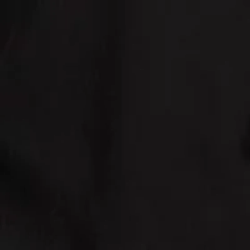 Women's Embroidered Top With Tassels