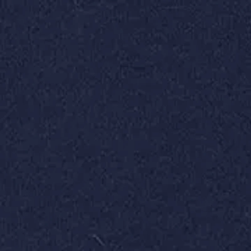 Women's Revive Crew Neck Sweatshirt