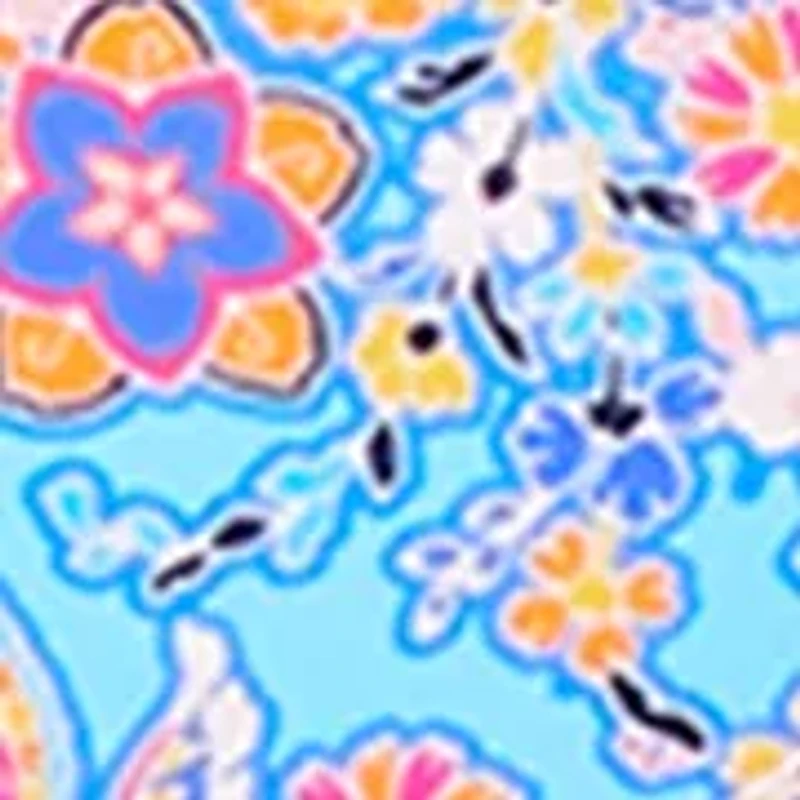 Women's Paisley Park Shirred Hipster Bikini Bottoms