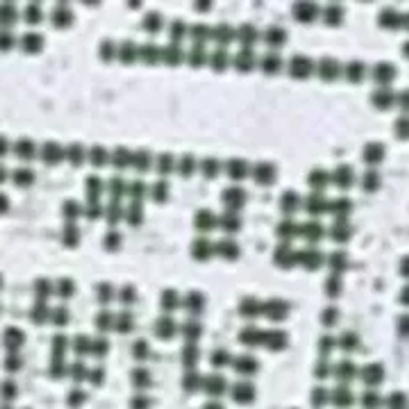 Women's Jasmine Ankle Skirt