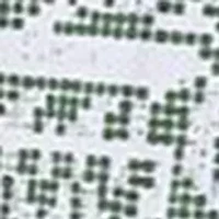 Women's Jasmine Ankle Skirt