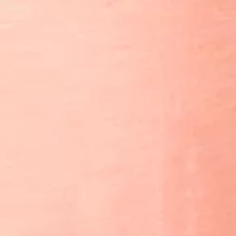 Women's Short Sleeve Splitneck Trimmed Top