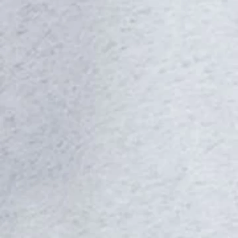 Women's Sportswear Club Fleece Crew Neck Sweatshirt