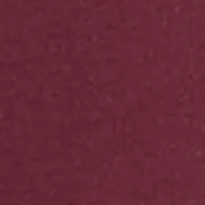 Women's Catch Some Sun Short Sleeve T-Shirt