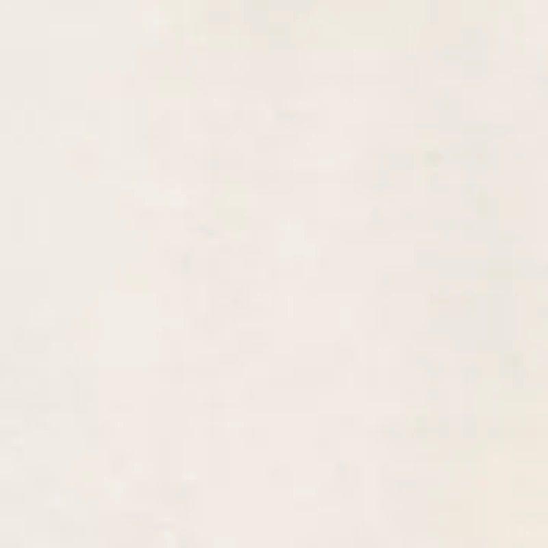 Women's The Sun Rises Short Sleeve T-Shirt