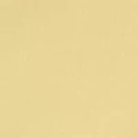 Petite Short Sleeve Crew Neck T-Shirt