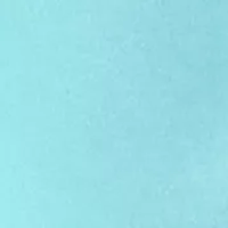 Petite Short Sleeve V-Neck T-Shirt