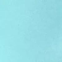 Petite Short Sleeve V-Neck T-Shirt